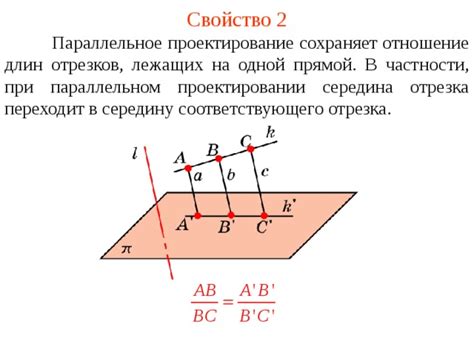 Проектирование и геометрия ноги