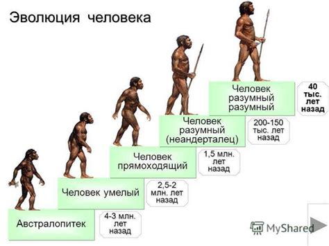 Происхождение и названия