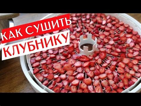 Промывка и сушка клубники