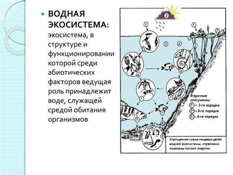 Прорисовка водных и наземных объектов