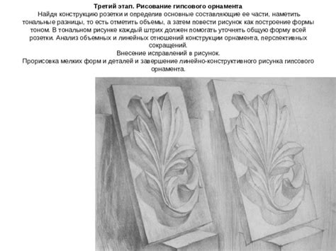 Прорисовка основных форм трезора