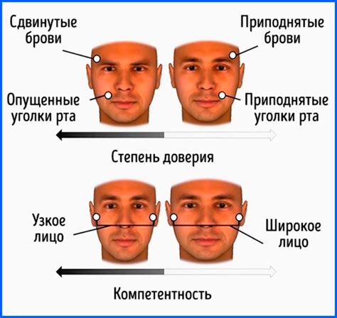 Прорисуйте характерные черты лица