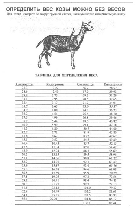 Простой способ определения веса козы