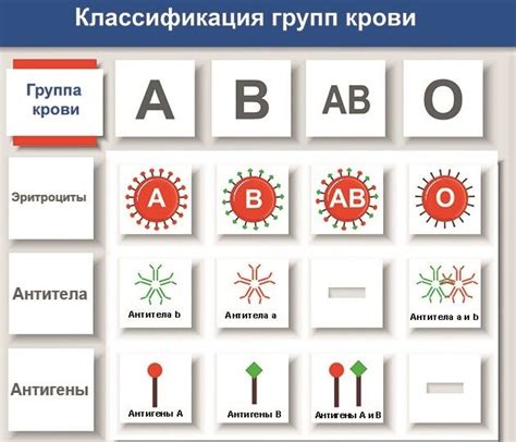 Простой способ узнать группу крови