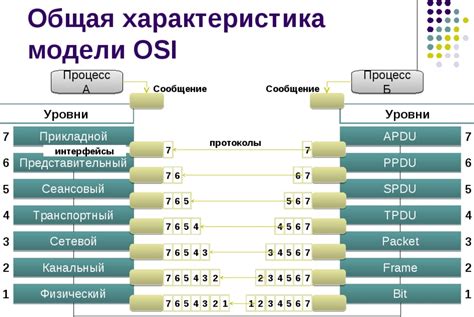 Протоколы интернета и их взаимодействие с IP на телефонах