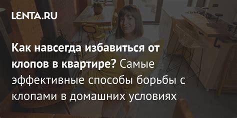 Профессиональные способы борьбы с клопами