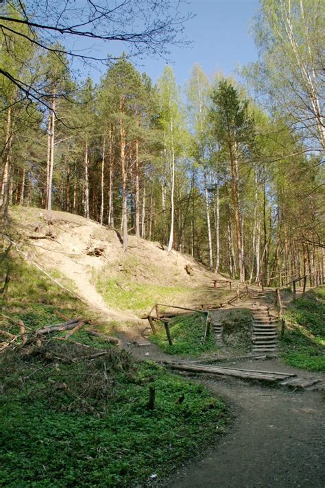 Профессиональный подход к созданию тропинки в лесу