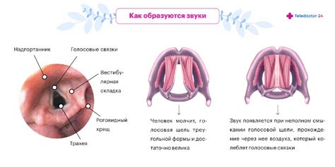 Профилактика картавого голоса: как не допустить повторной проблемы?