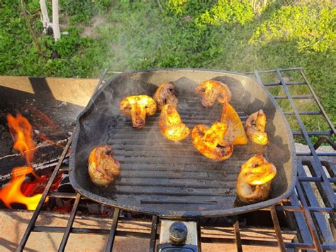 Профилактические меры, чтобы избежать запаха гари на мясе