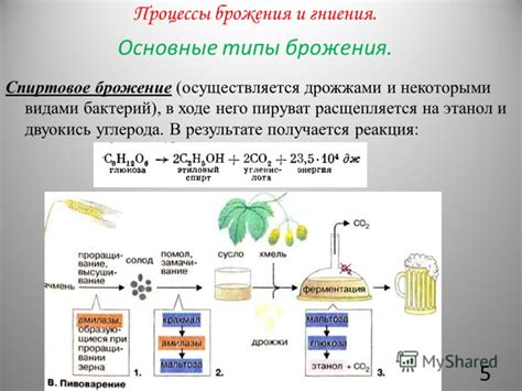 Процесс брожения и перегонки