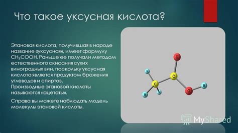 Процесс брожения и уксусная кислота в квасе