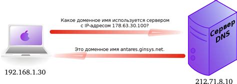 Процесс перевода доменного имени в IP-адрес