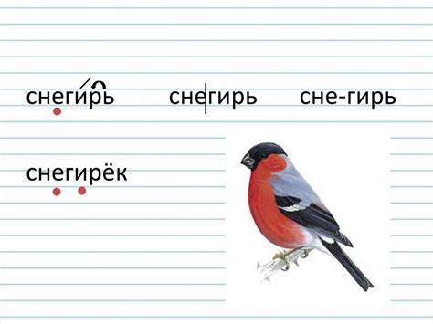 Процесс проверки мягкого знака в темноте