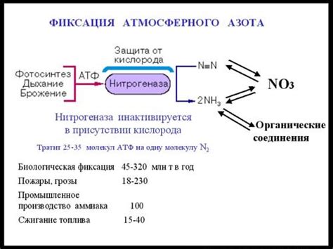 Процесс связывания азота