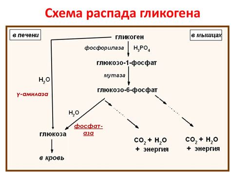 Процесс синтеза