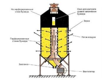 Процесс сушки губки