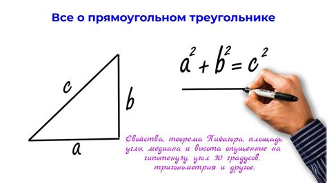 Прямоугольный треугольник: определение и свойства