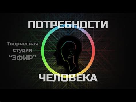 Психологические потребности совы и как их удовлетворить