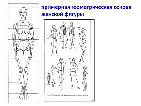 Работа с базовыми пропорциями фигуры