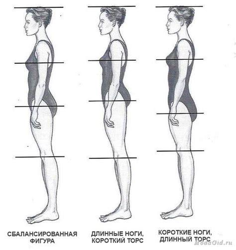 Работа с пропорциями и анатомией