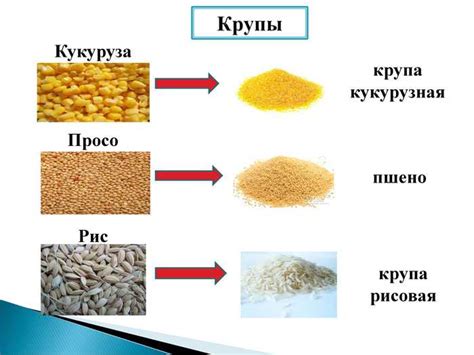 Разделение пшена от примесей