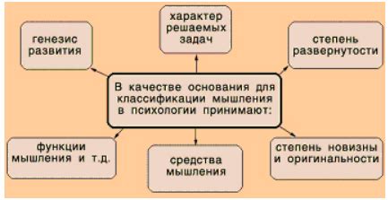 Раздел 1: Особенности мышления гуманитариев