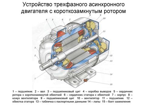 Раздел 2: Компоненты устройства машины переменного тока