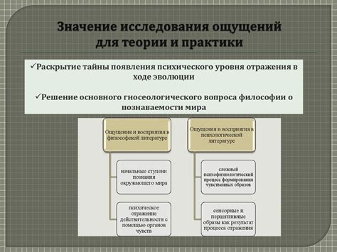 Раздел 2: Техники и практики для расширения ощущений