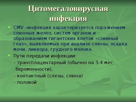 Раздел 5: Определение цмв с помощью цитомегаловирусной культуры