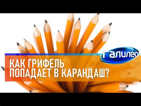 Различные виды карандашей и их применение