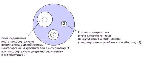 Различные методы восстановления чувствительности