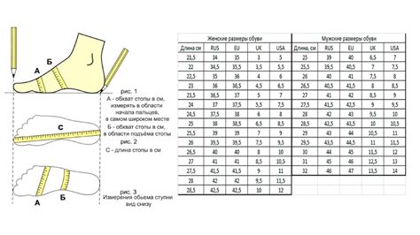 Размеры обуви и их соответствия