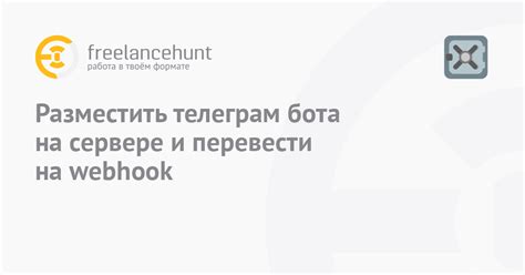 Размещение бота на сервере и настройка webhooks