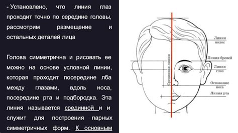 Размещение деталей головы