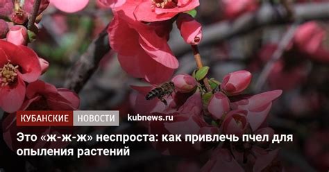 Размещение улья на блоке цветов для привлечения пчел