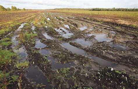 Разновидности загрязнения почвы на огороде