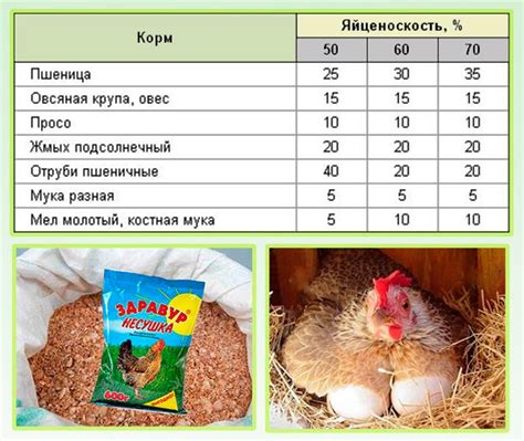 Разнообразное питание для здоровых кур