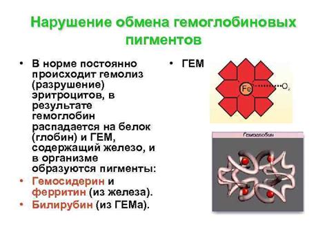 Разрушение пигментов