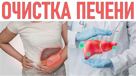 Раскраска галки: советы и рекомендации