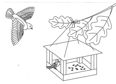 Раскраска рисунка кормушки и птиц