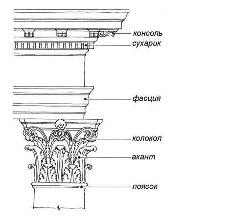 Расположение и дизайн капители
