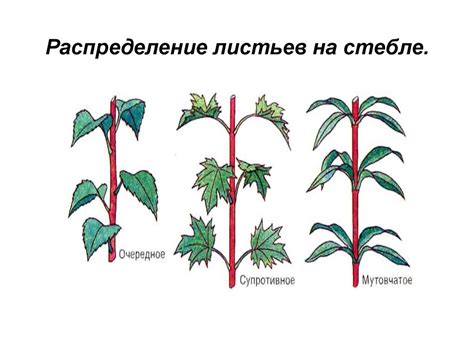 Расположение листа на бумаге