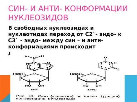 Распределение эндо между модами