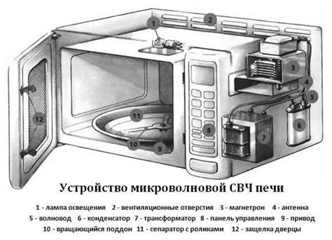 Расстановка продуктов внутри микроволновки