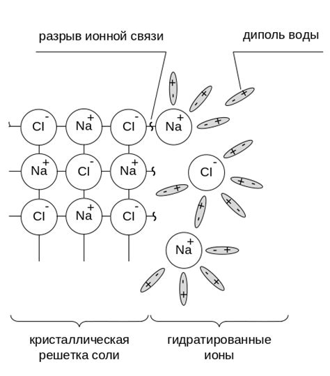 Растворение соли