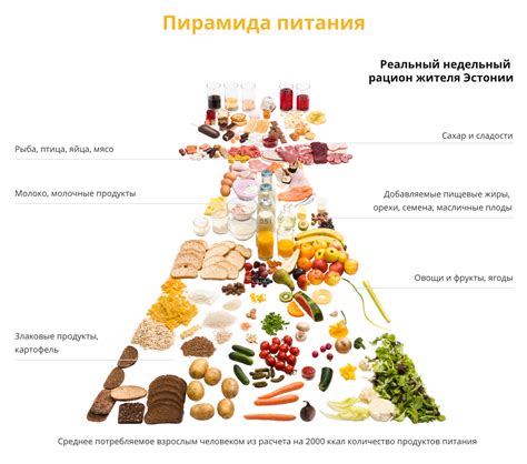 Рациональное питание и полезные привычки