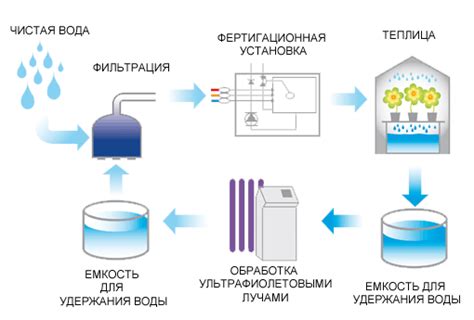 Рациональный режим полива и удобрения