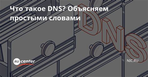 Регистрация доменов и DNS