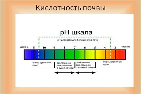 Регулирование pH