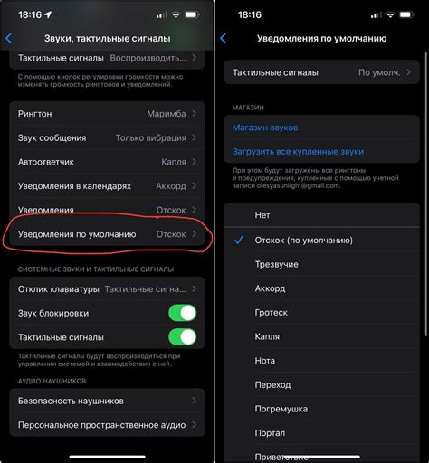 Регулировка громкости уведомлений на iOS